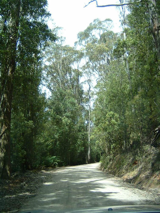 12 Tasmania.jpg